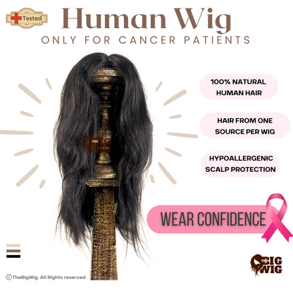 Human Hair Chemo Wig - The Big Wig